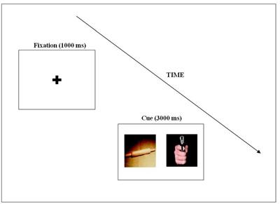 Serotonin 5-HTTLPR Genotype Modulates Reactive Visual Scanning of Social and Non-social Affective Stimuli in Young Children